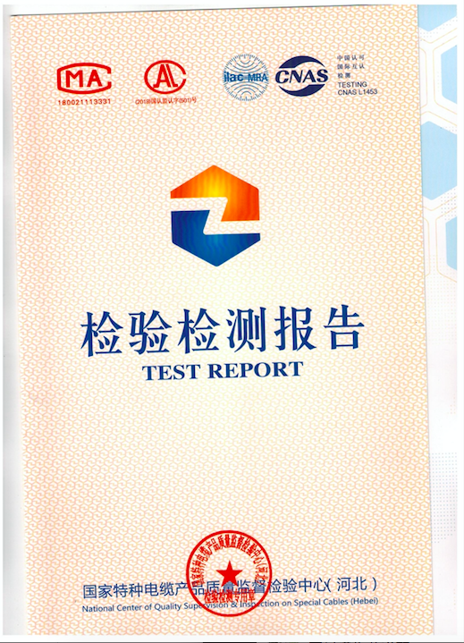 檢測報告